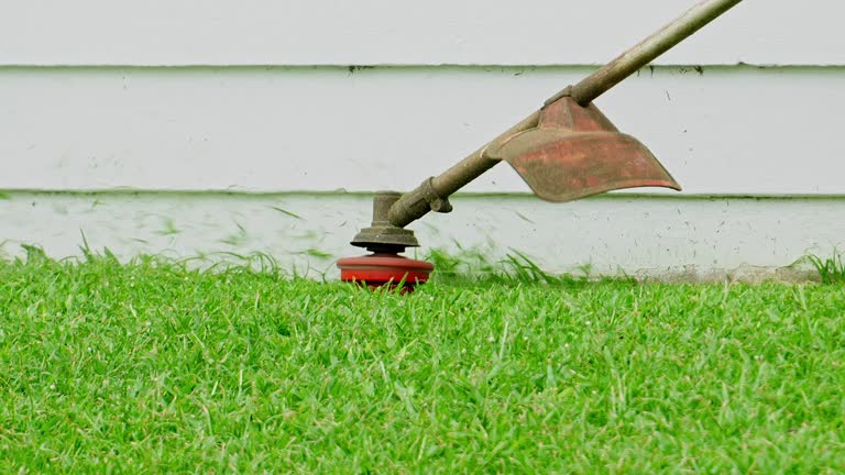 Best Aeration Services  in Huntington Station, NY